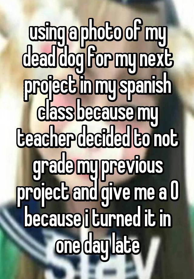 using a photo of my dead dog for my next project in my spanish class because my teacher decided to not grade my previous project and give me a 0 because i turned it in one day late