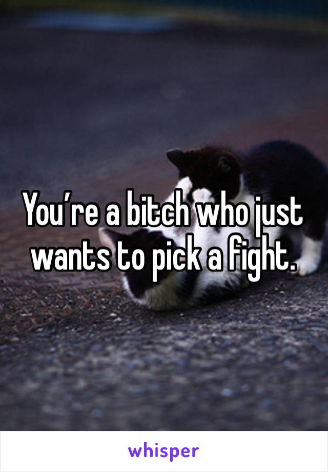 You’re a bitch who just wants to pick a fight.