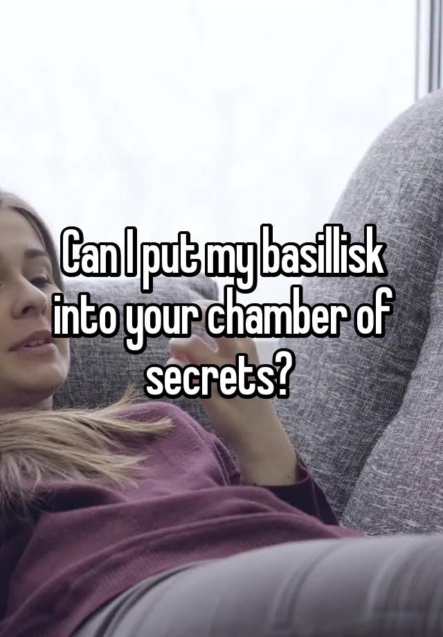 Can I put my basillisk into your chamber of secrets? 