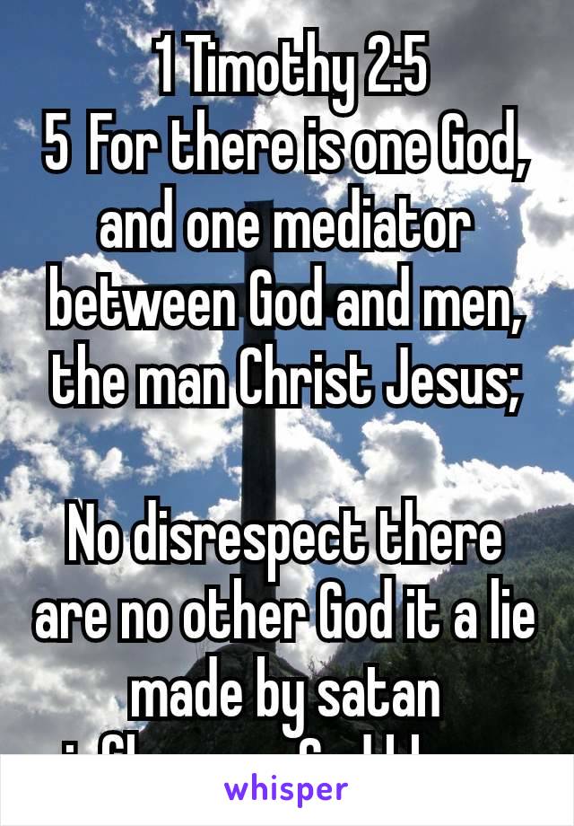  1 Timothy 2:5
5 For there is one God, and one mediator between God and men, the man Christ Jesus;

No disrespect there are no other God it a lie made by satan influences God bless 