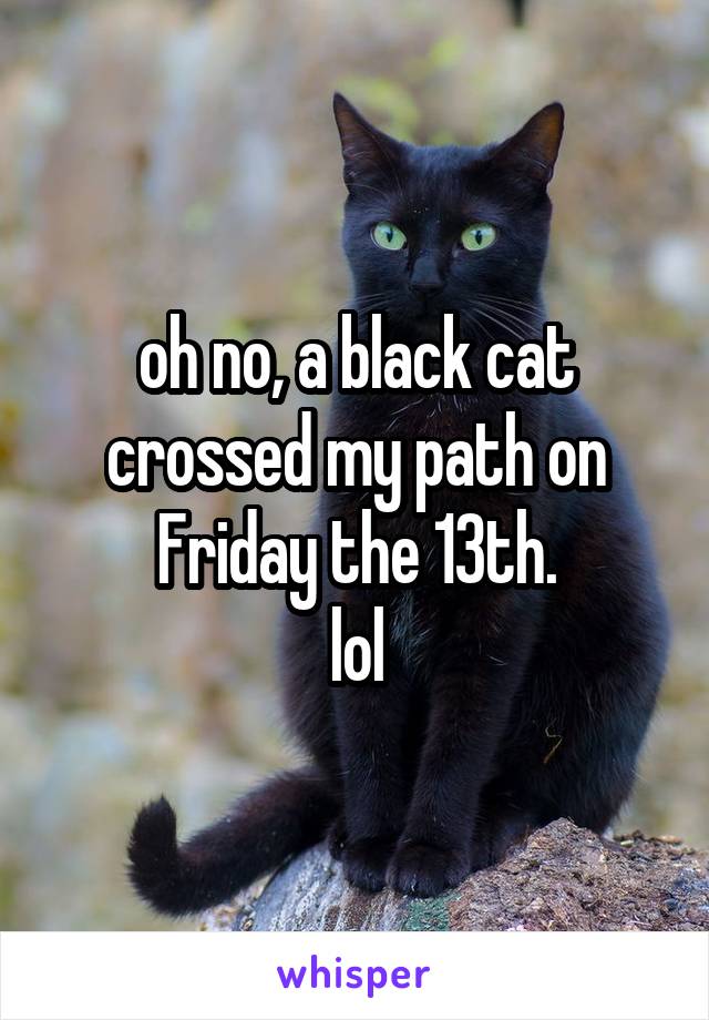 oh no, a black cat crossed my path on Friday the 13th.
lol