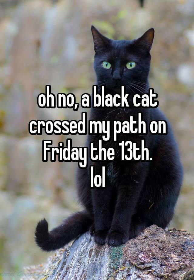 oh no, a black cat crossed my path on Friday the 13th.
lol