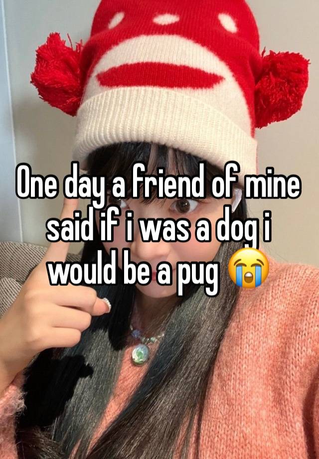 One day a friend of mine said if i was a dog i would be a pug 😭