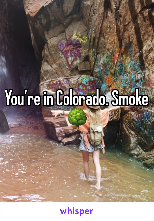 You’re in Colorado. Smoke 🌳