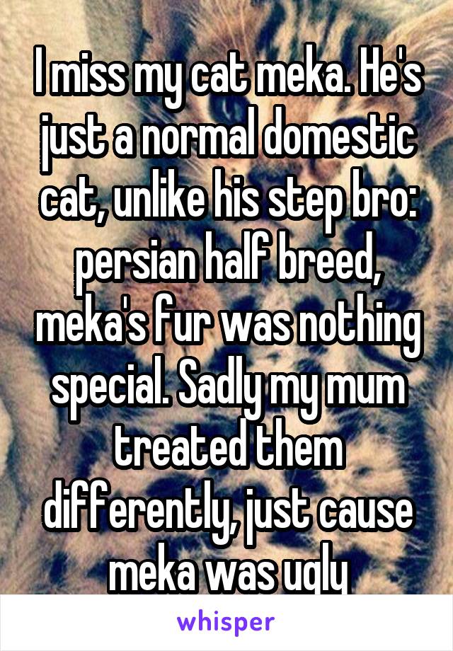 I miss my cat meka. He's just a normal domestic cat, unlike his step bro: persian half breed, meka's fur was nothing special. Sadly my mum treated them differently, just cause meka was ugly