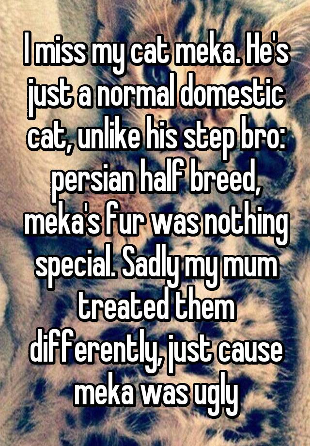 I miss my cat meka. He's just a normal domestic cat, unlike his step bro: persian half breed, meka's fur was nothing special. Sadly my mum treated them differently, just cause meka was ugly