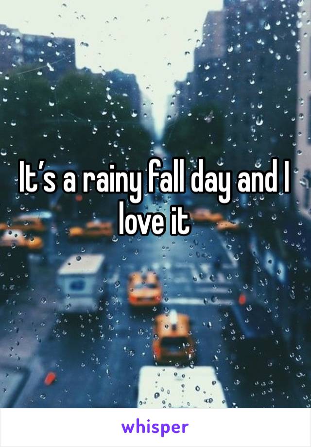 It’s a rainy fall day and I love it 
