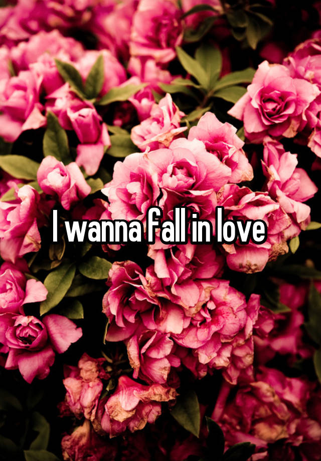 I wanna fall in love 