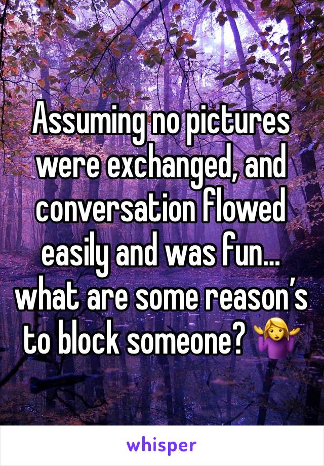 Assuming no pictures were exchanged, and conversation flowed easily and was fun… what are some reason’s to block someone? 🤷‍♀️