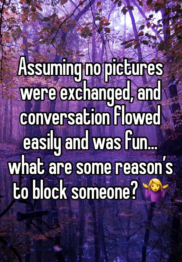 Assuming no pictures were exchanged, and conversation flowed easily and was fun… what are some reason’s to block someone? 🤷‍♀️