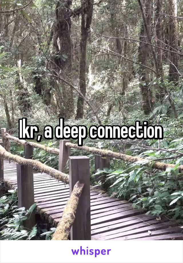 Ikr, a deep connection 