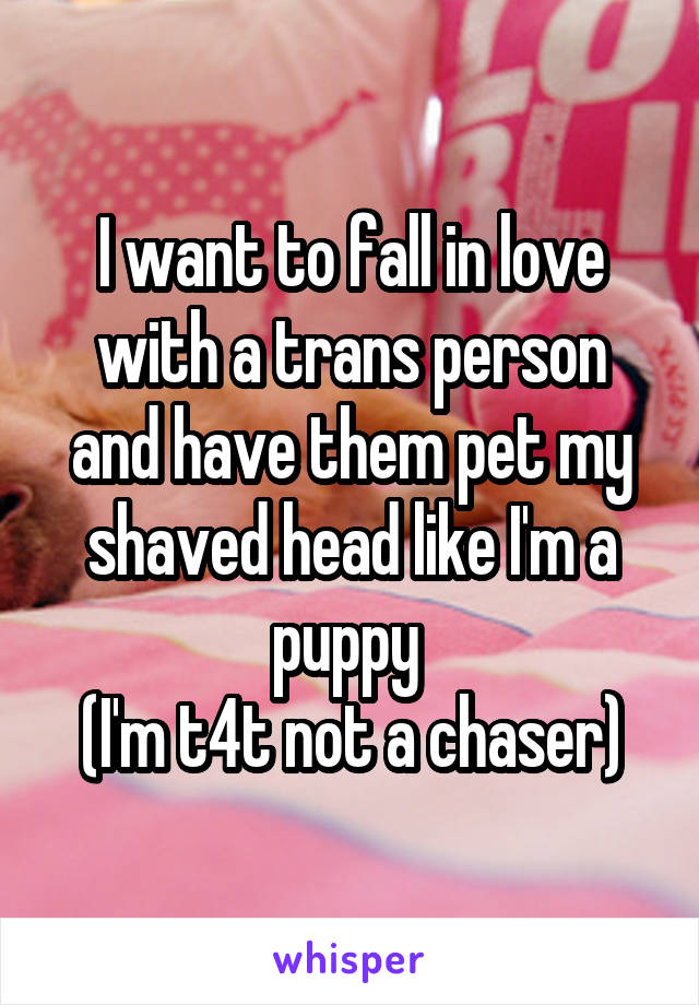 I want to fall in love with a trans person and have them pet my shaved head like I'm a puppy 
(I'm t4t not a chaser)