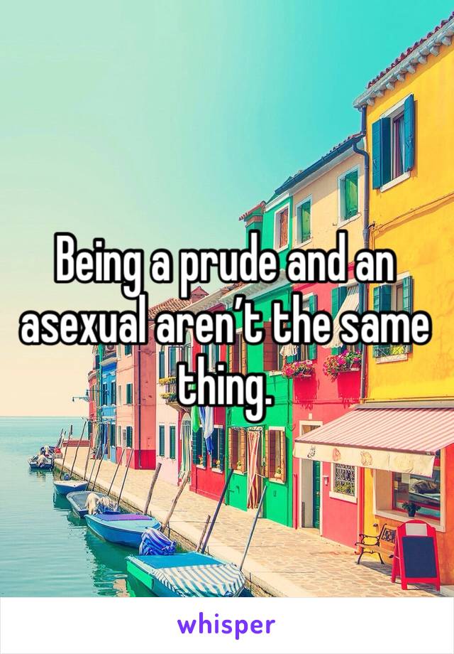 Being a prude and an asexual aren’t the same thing.