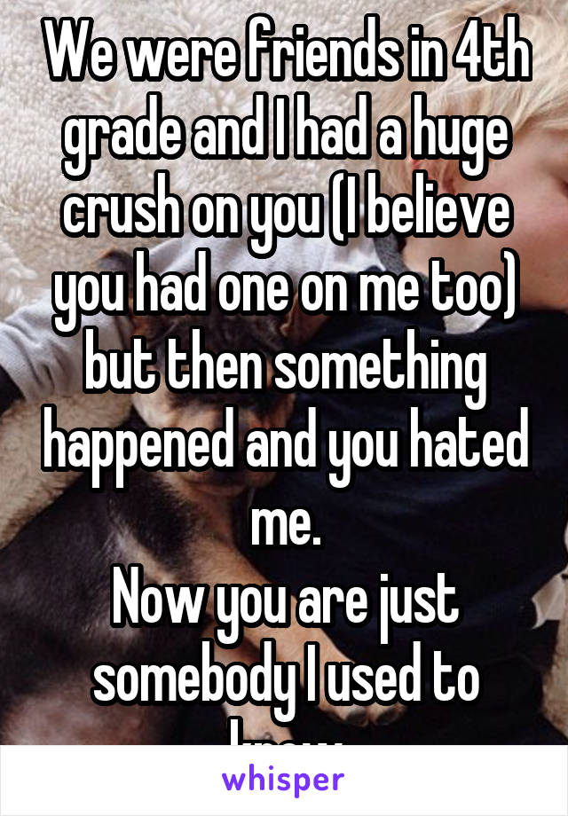 We were friends in 4th grade and I had a huge crush on you (I believe you had one on me too) but then something happened and you hated me.
Now you are just somebody I used to know