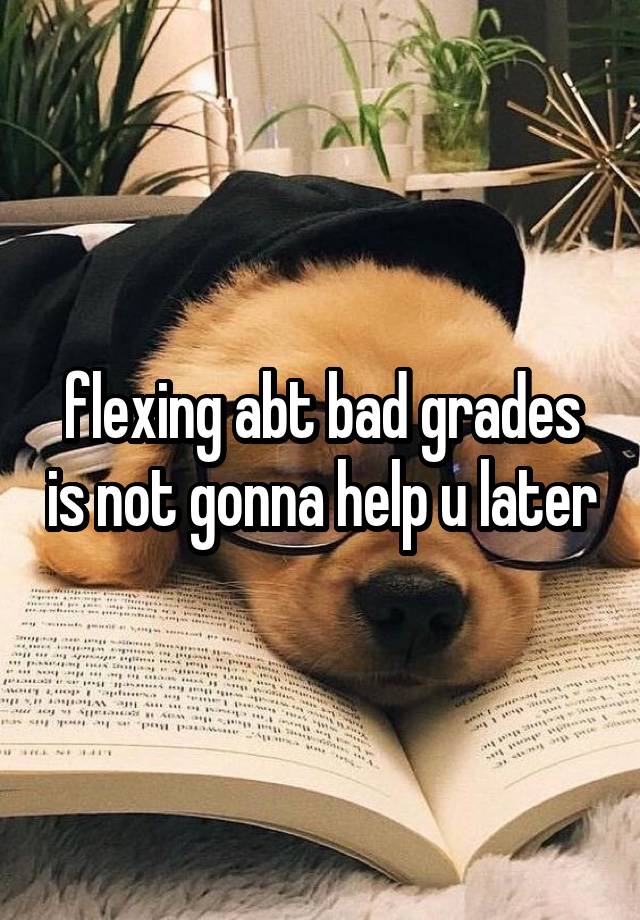 flexing abt bad grades is not gonna help u later