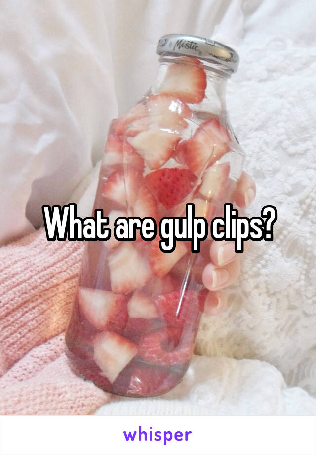 What are gulp clips?