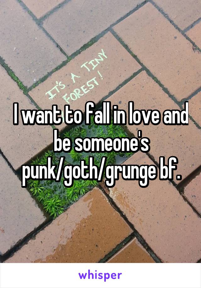 I want to fall in love and be someone's punk/goth/grunge bf.