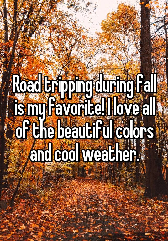 Road tripping during fall is my favorite! I love all of the beautiful colors and cool weather.