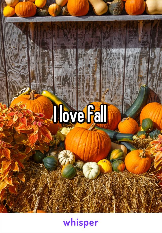 I love fall 