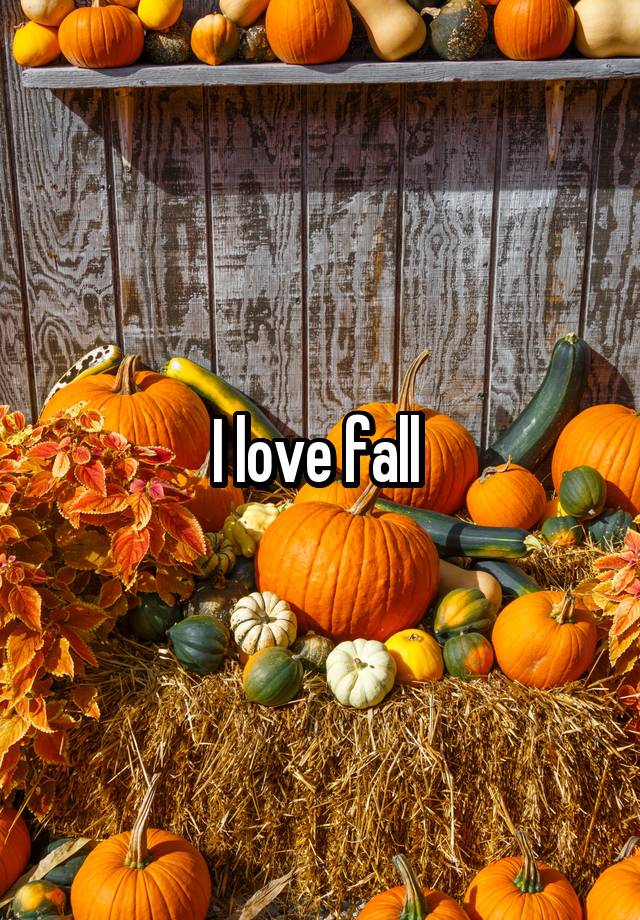 I love fall 