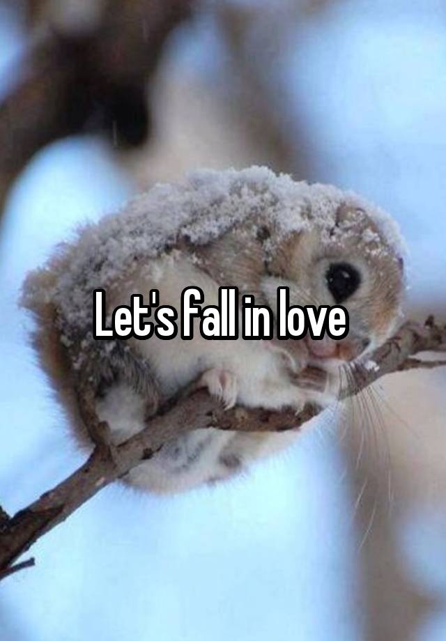 Let's fall in love 