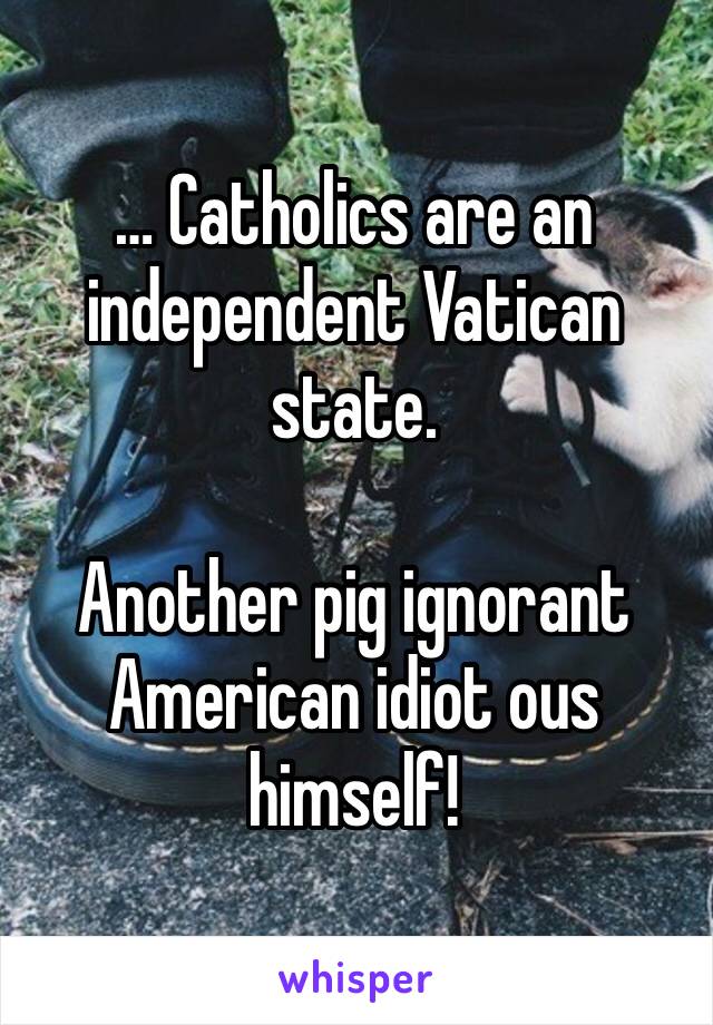 … Catholics are an independent Vatican state.

Another pig ignorant American idiot ous himself!