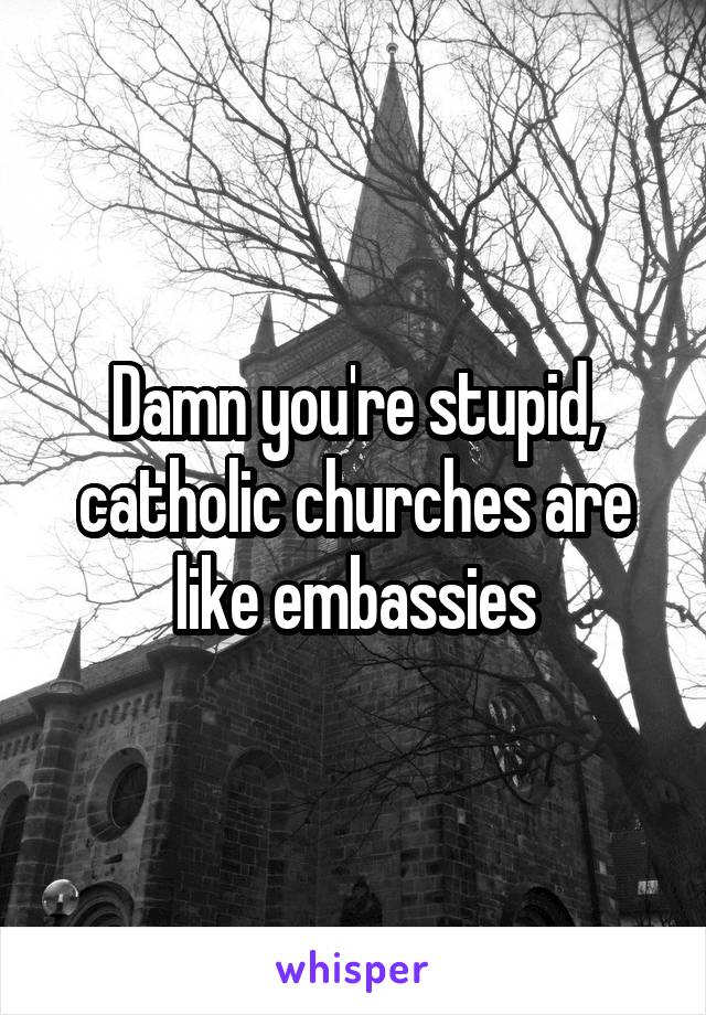 Damn you're stupid, catholic churches are like embassies