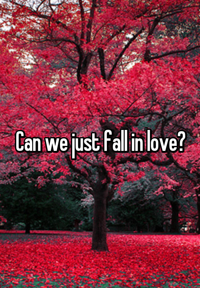 Can we just fall in love?