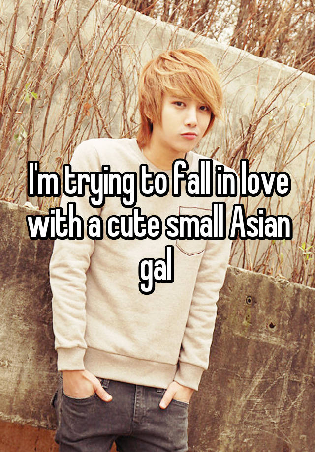 I'm trying to fall in love with a cute small Asian gal 