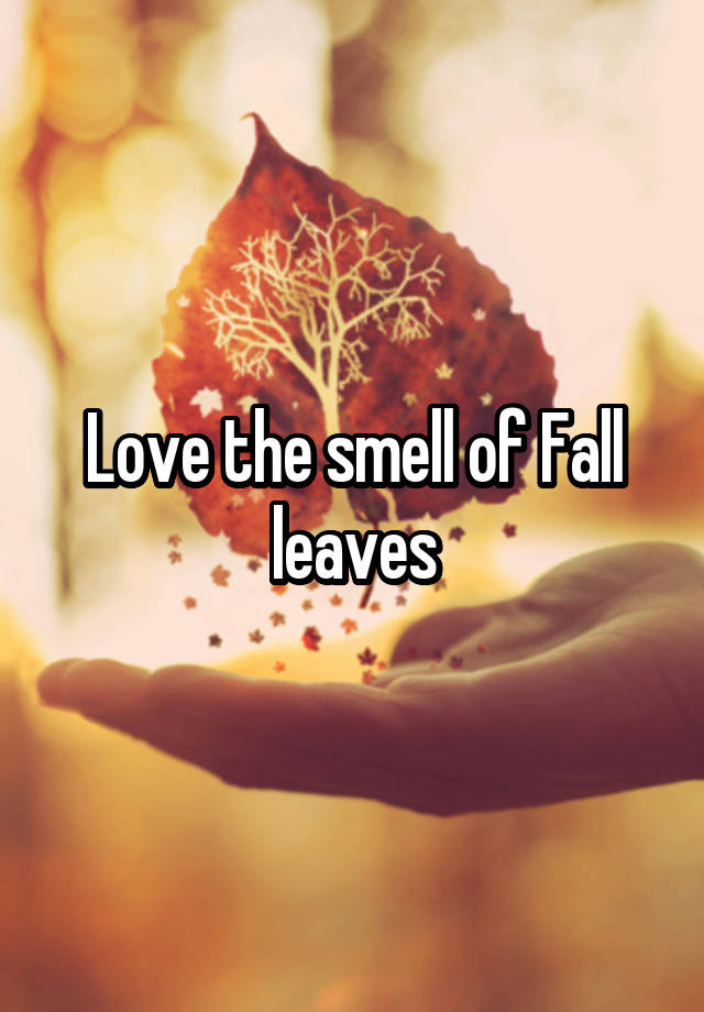 Love the smell of Fall leaves