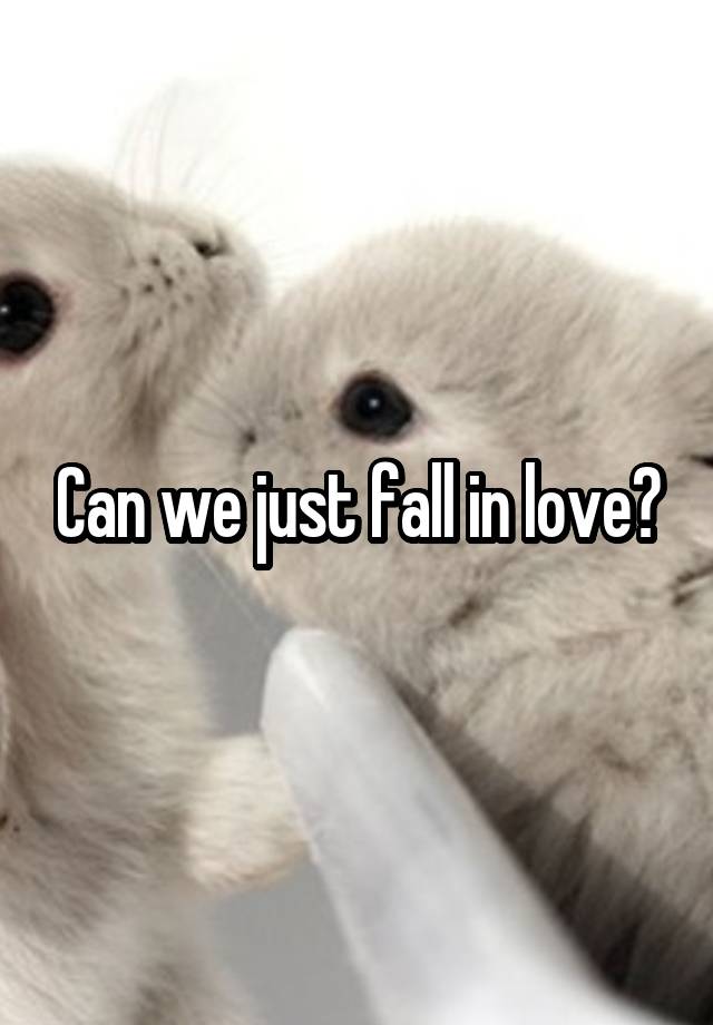 Can we just fall in love?