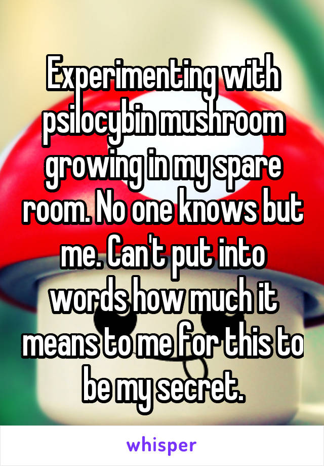 Experimenting with psilocybin mushroom growing in my spare room. No one knows but me. Can't put into words how much it means to me for this to be my secret.