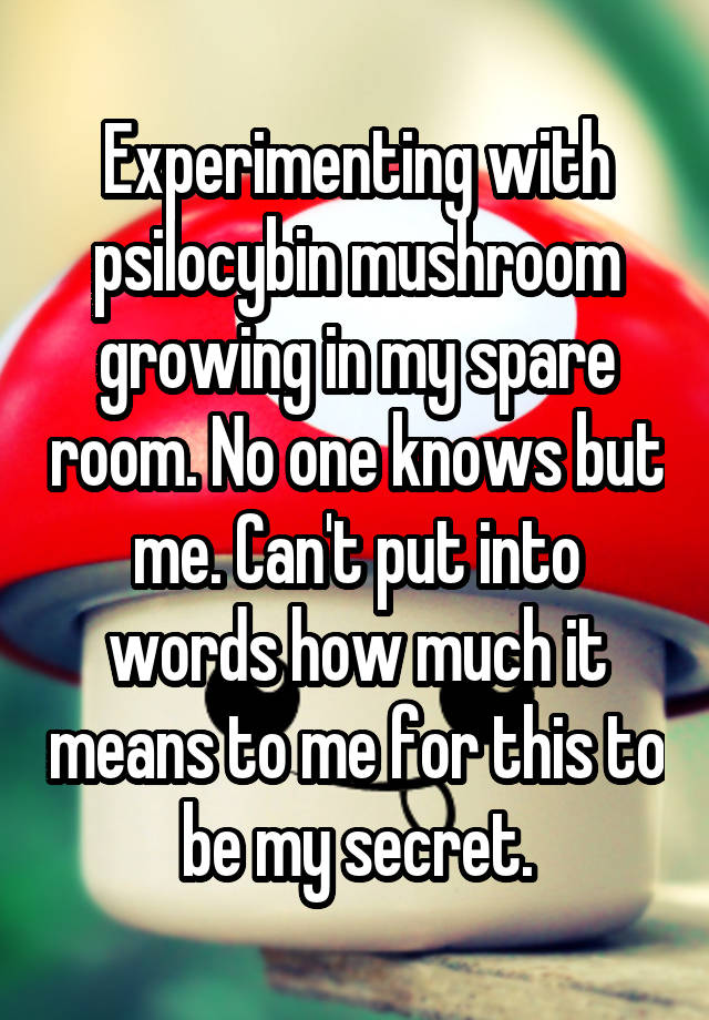 Experimenting with psilocybin mushroom growing in my spare room. No one knows but me. Can't put into words how much it means to me for this to be my secret.