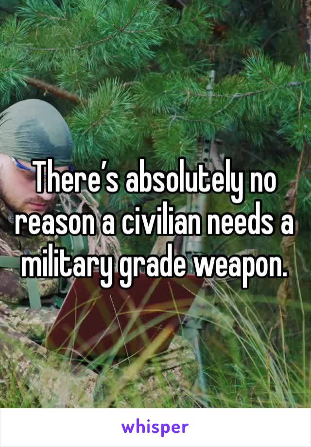 There’s absolutely no reason a civilian needs a military grade weapon. 