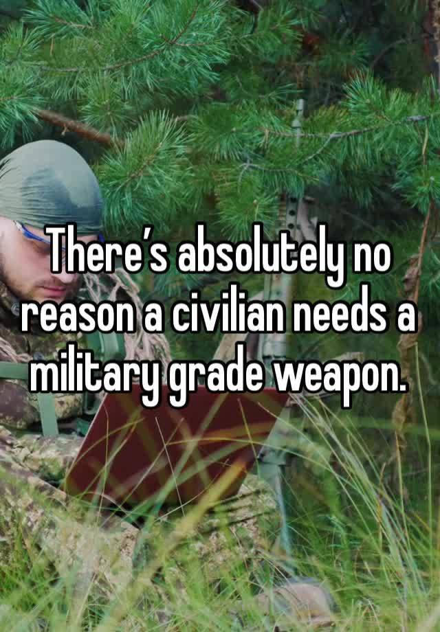 There’s absolutely no reason a civilian needs a military grade weapon. 