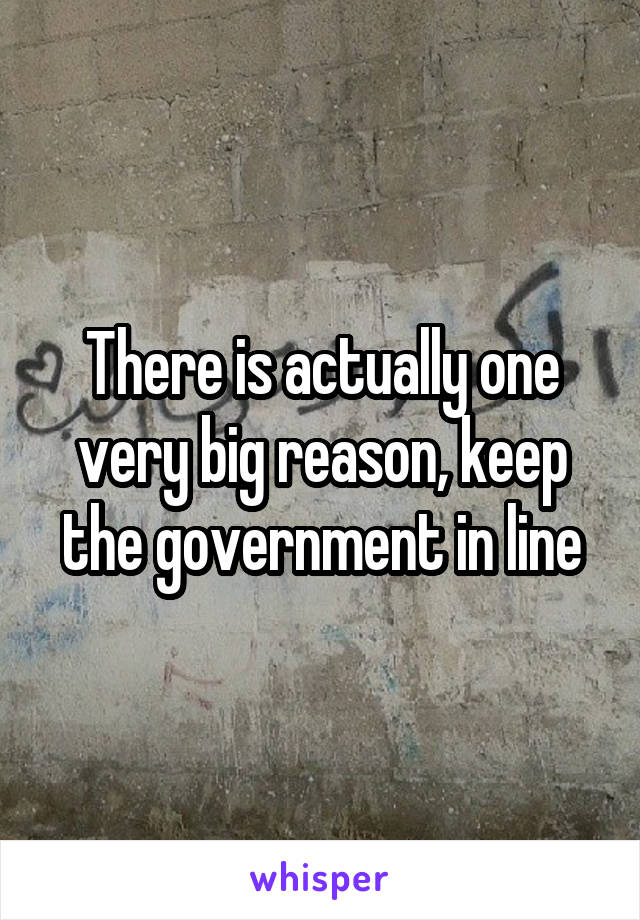 There is actually one very big reason, keep the government in line