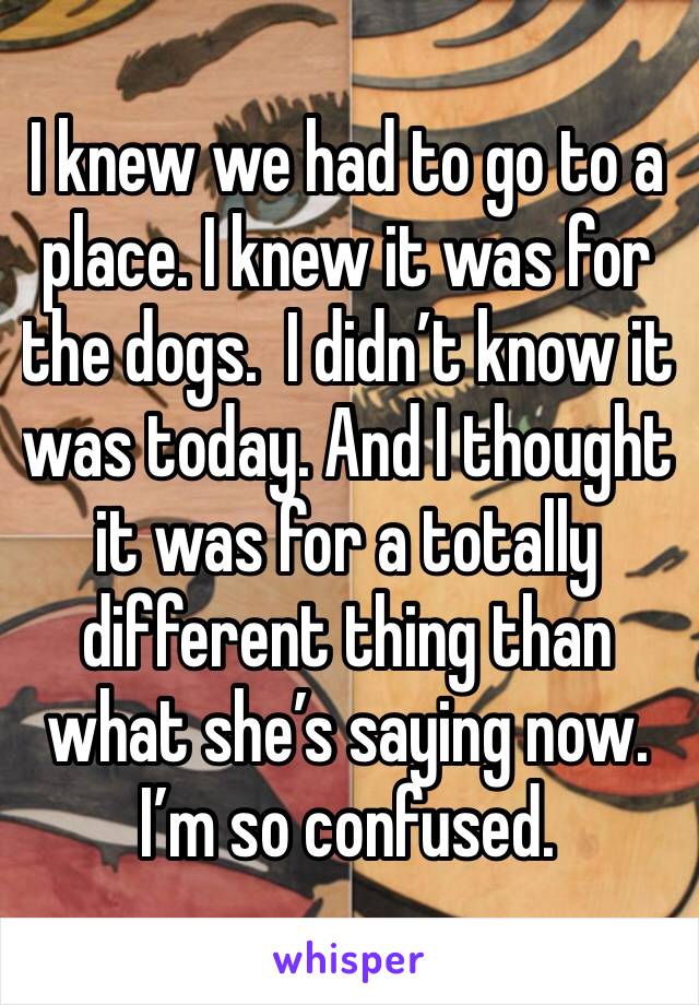 I knew we had to go to a place. I knew it was for the dogs.  I didn’t know it was today. And I thought it was for a totally different thing than what she’s saying now. I’m so confused. 