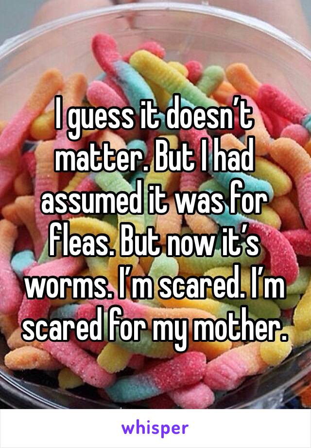 I guess it doesn’t matter. But I had assumed it was for fleas. But now it’s worms. I’m scared. I’m scared for my mother. 