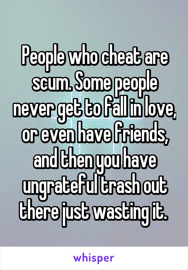 People who cheat are scum. Some people never get to fall in love, or even have friends, and then you have ungrateful trash out there just wasting it. 