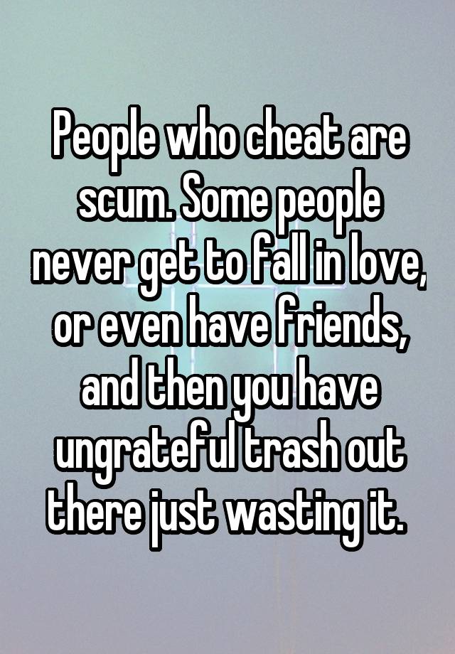 People who cheat are scum. Some people never get to fall in love, or even have friends, and then you have ungrateful trash out there just wasting it. 