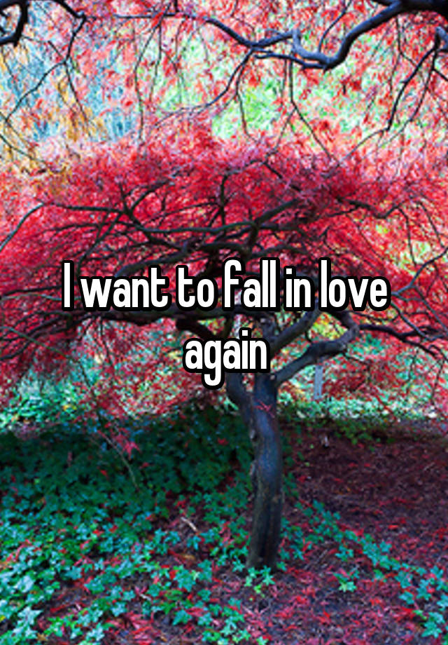 I want to fall in love again