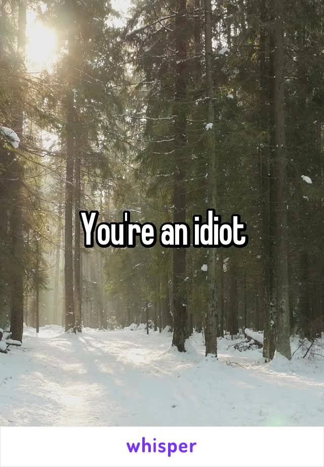 You're an idiot