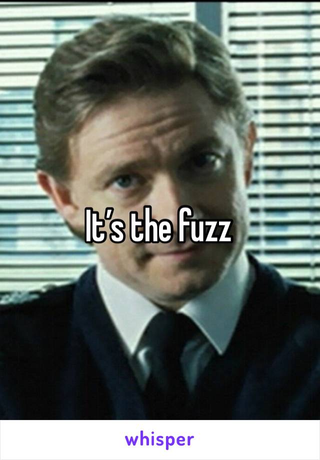 It’s the fuzz