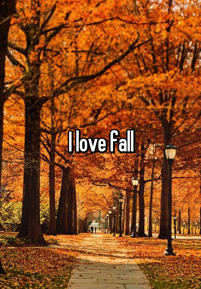 I love fall