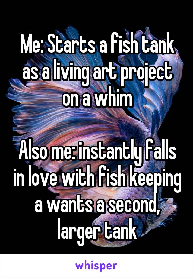 Me: Starts a fish tank as a living art project on a whim

Also me: instantly falls in love with fish keeping a wants a second, larger tank