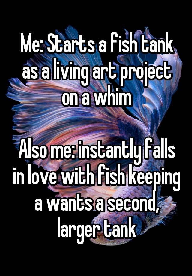 Me: Starts a fish tank as a living art project on a whim

Also me: instantly falls in love with fish keeping a wants a second, larger tank