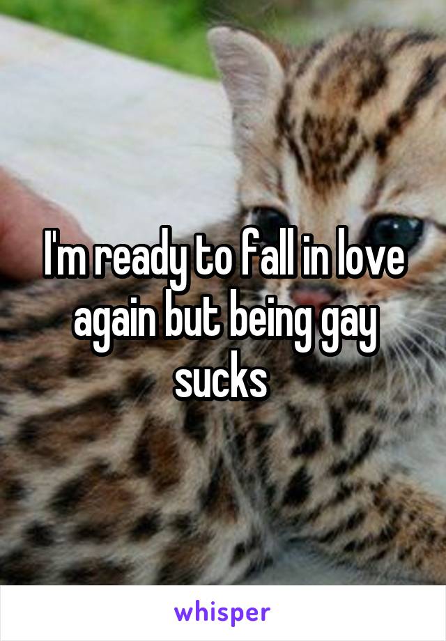 I'm ready to fall in love again but being gay sucks 