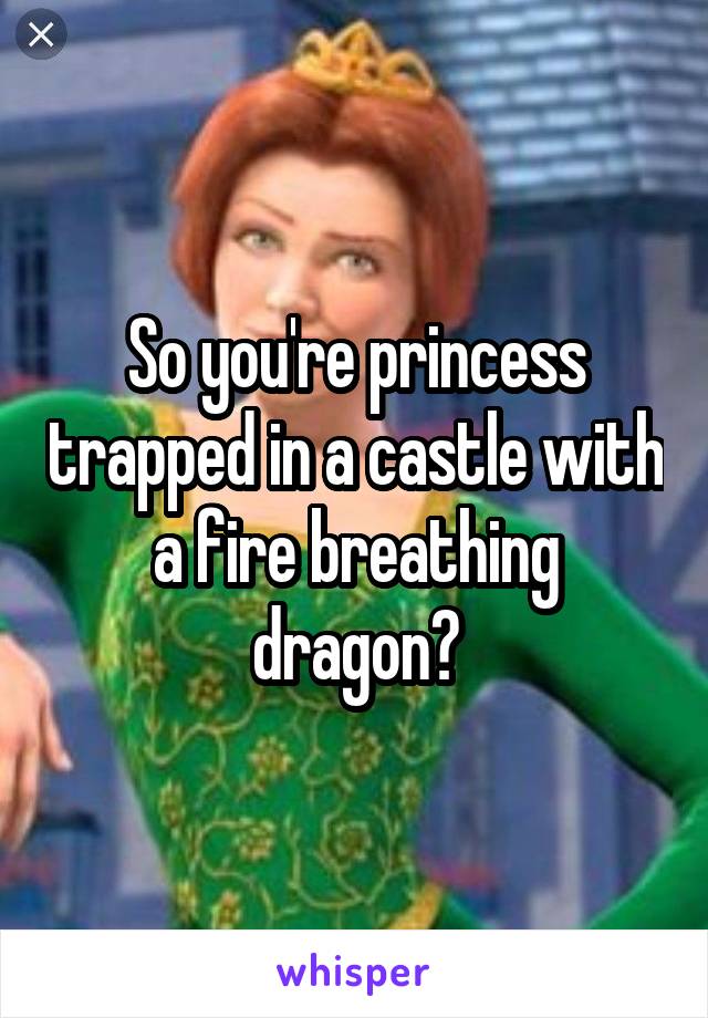 So you're princess trapped in a castle with a fire breathing dragon?