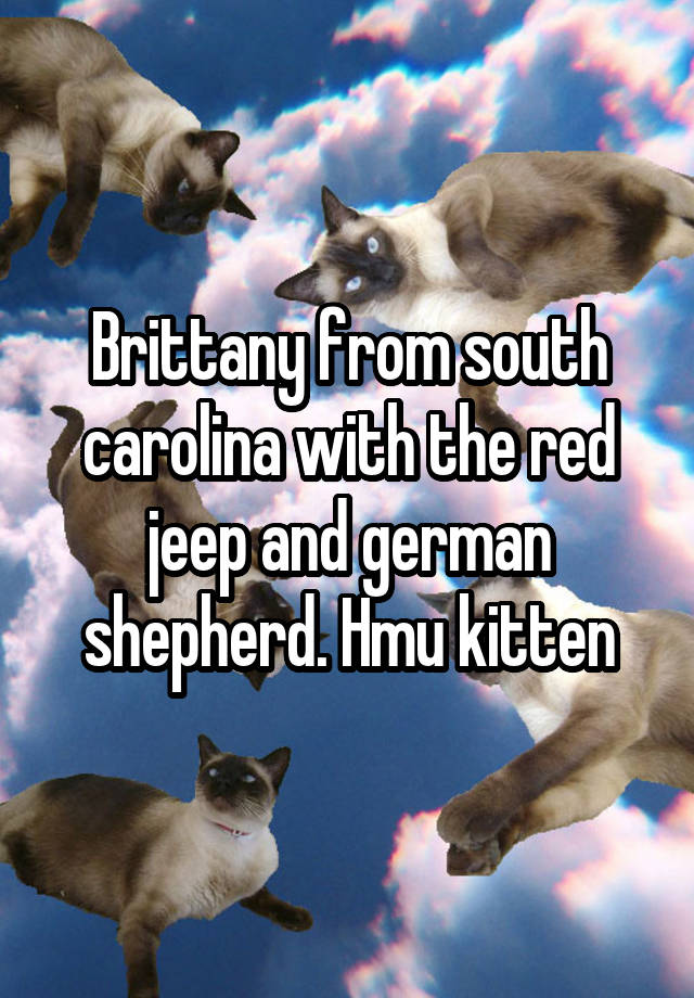 Brittany from south carolina with the red jeep and german shepherd. Hmu kitten