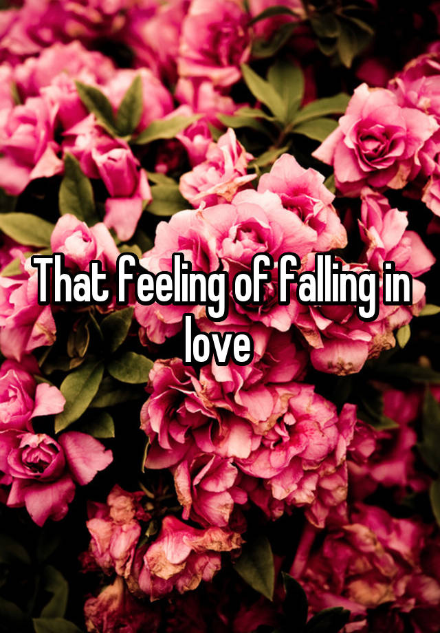 That feeling of falling in love 